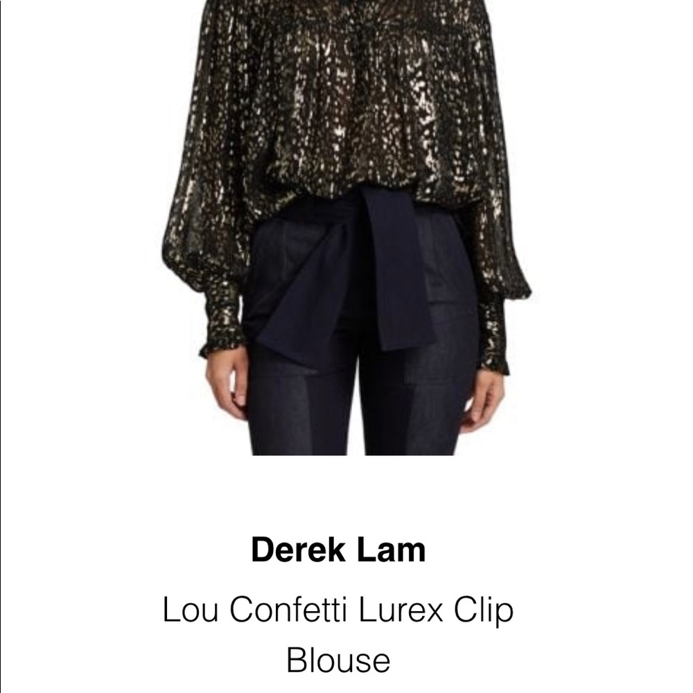 Derek Lam metallic blouse